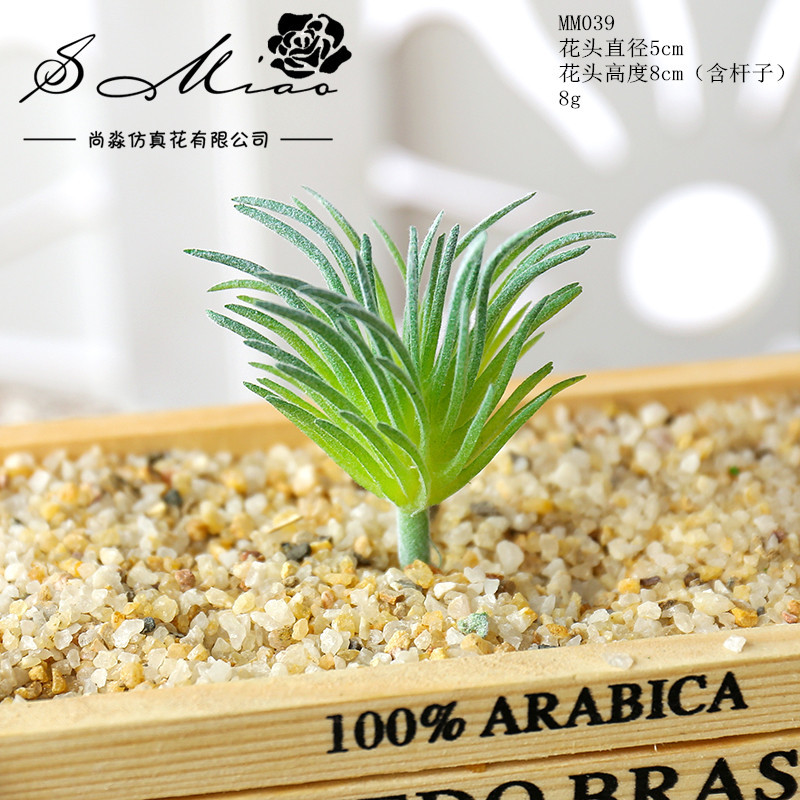 Picture of 003 Flocked Green Succulent Flower Head Creative DIY Supplies Bonsai Accessories Artificial Flower Jinhua Factory Direct Supply