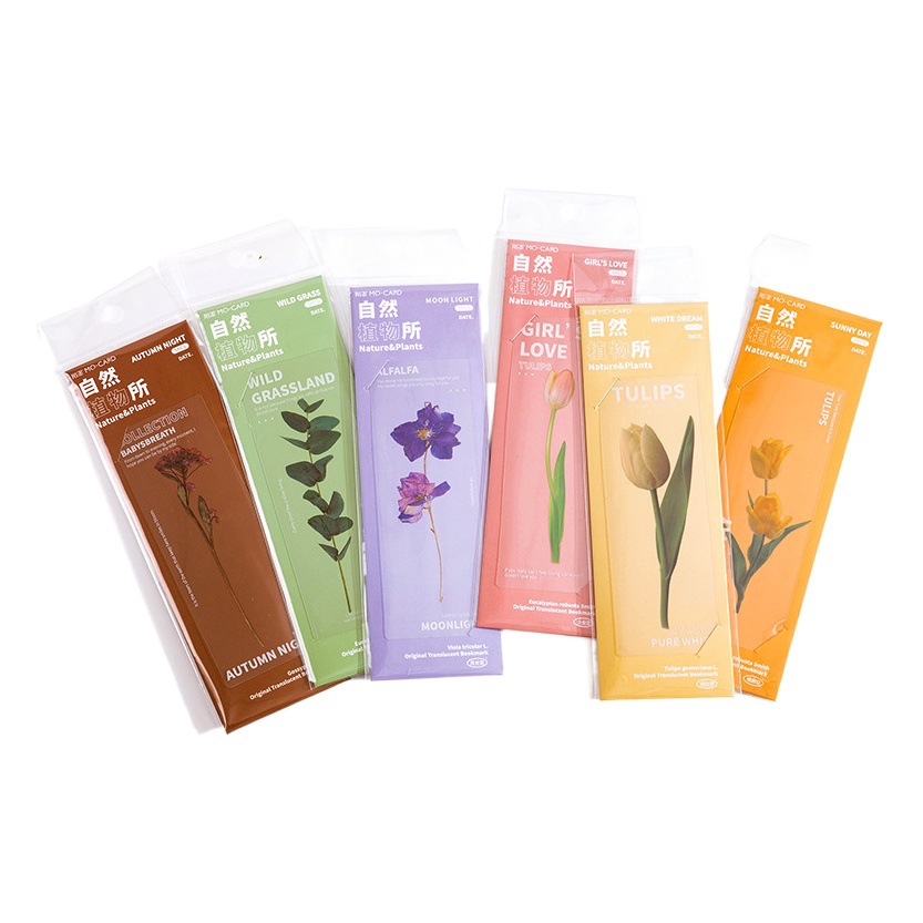 Momo Translucent Bookmark Pet Natural Plant Series Literary Ins Dried Flower Handbook Reading Book Holder 6 Styles