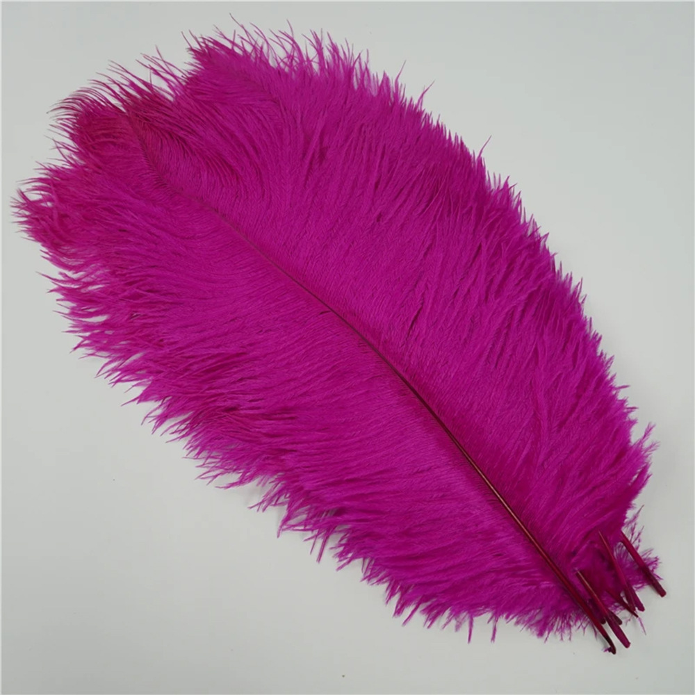 Picture of 10-15cm ostrich hair source factory bouquet wedding decoration feather wall handmade DIY crafts stage clothing
