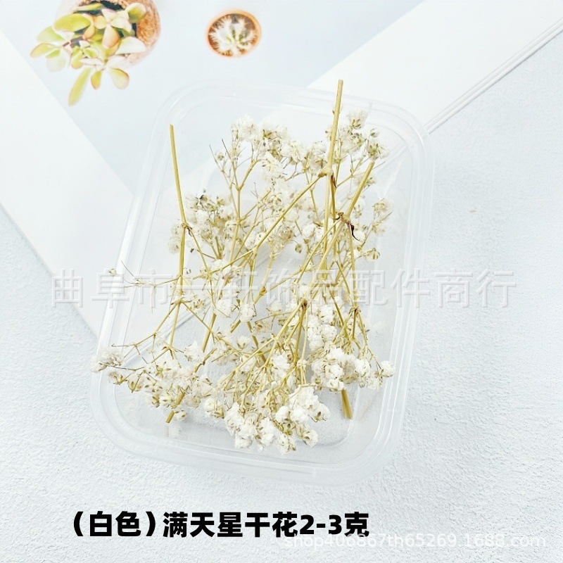 Picture of Dried Flower DIY Material Boxed Real Flower Air-Dried Forget-Me-Not Rose Lover Grass Gypsophila Decorative Flower Material Handmade