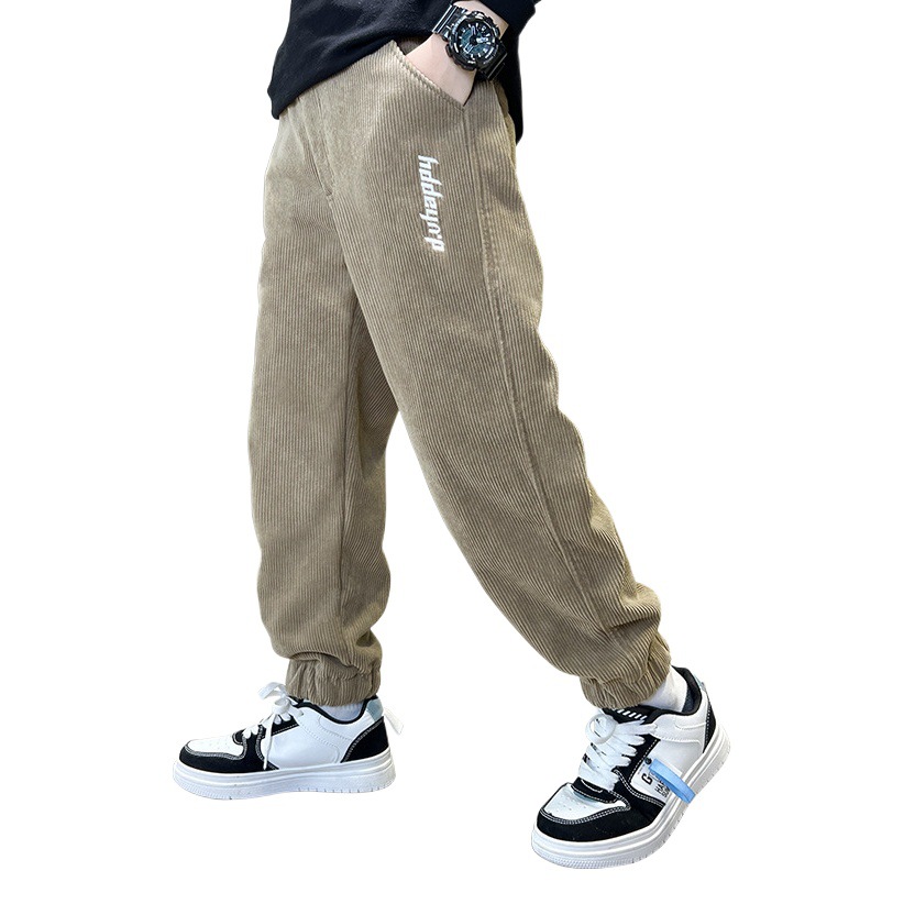 Children's Clothing Korean Style Boys' Pants Autumn and Winter Velvet Pants All-In-One Velvet Trendy Brand Casual 2024 Kidsren's Velvet Sweatpants Cross-Border