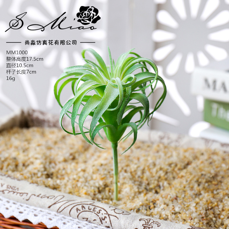 Picture of 003 Flocked Green Succulent Flower Head Creative DIY Supplies Bonsai Accessories Artificial Flower Jinhua Factory Direct Supply
