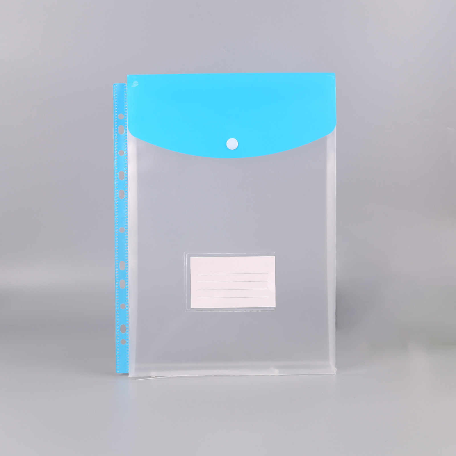 Picture of Cross-Border Hot-Selling Vertical Data Storage File Bag A4 11-Hole Loose-Leaf File Bag Pp Snap Plastic File Bag