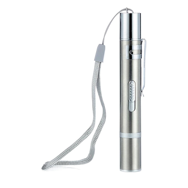 USB direct charging stainless steel mini charging flashlight laser pattern purple light funny cat stick pet toys wholesale