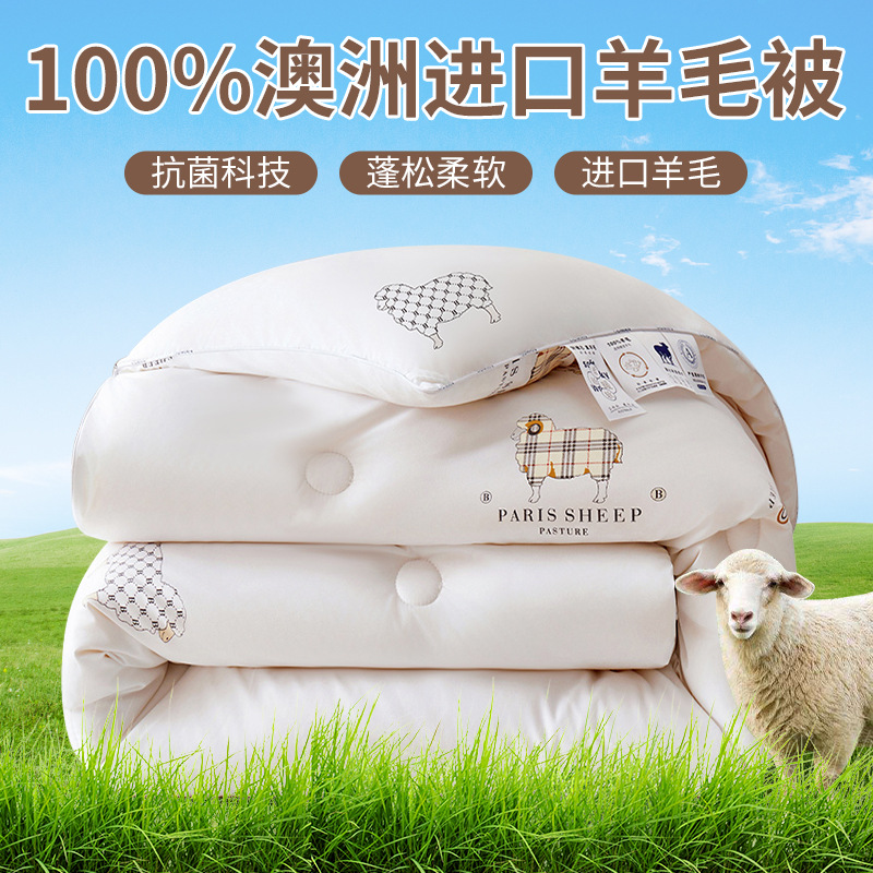 Factory wholesale 100 pure wool quilt Australia imported wool quilt thickened warm cashmere winter quilt spring and autumn quilt core
