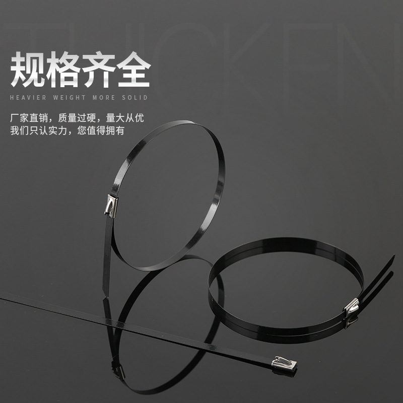 Picture of Metal marine cable tie 201 plastic spray ball self-locking 304 stainless steel cable tie 4.6*300 metal cable tie