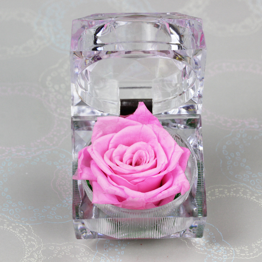 Picture of Eternal Flower Rose Acrylic Necklace Ring Gift Box Stall High-end Valentine's Day Gift Cross-border Wholesale