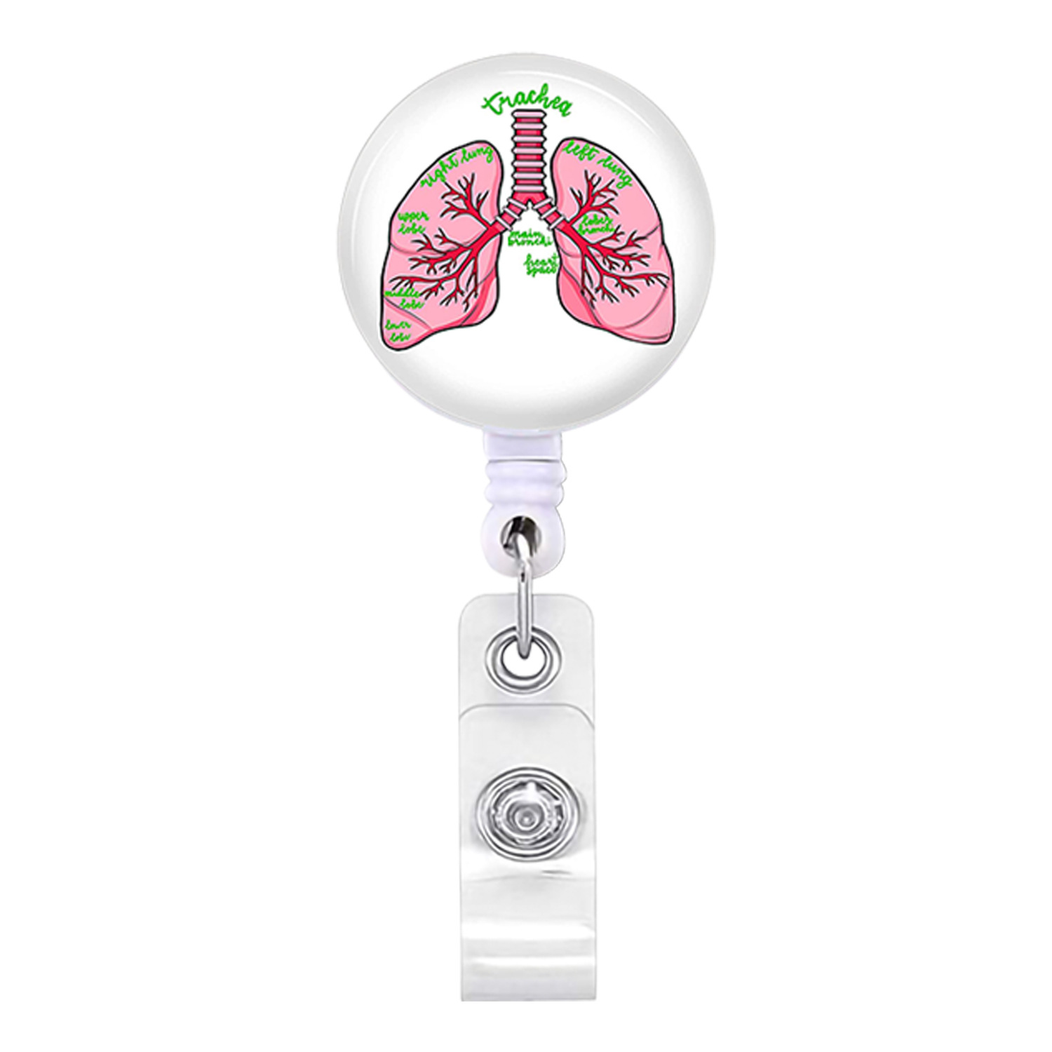 Picture of Heart, Spleen and Lung Brain, Large Intestine Organ Easy-Pull Buckle, Telescopic Easy-Pull Id Buckle, Doctor Nurse Badge Buckle Badge
