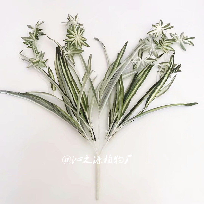 Picture of Factory wholesale sea anemone leaf hanging orchid plant wall material simulation white grass orchid wall hanging Phnom Penh hanging orchid