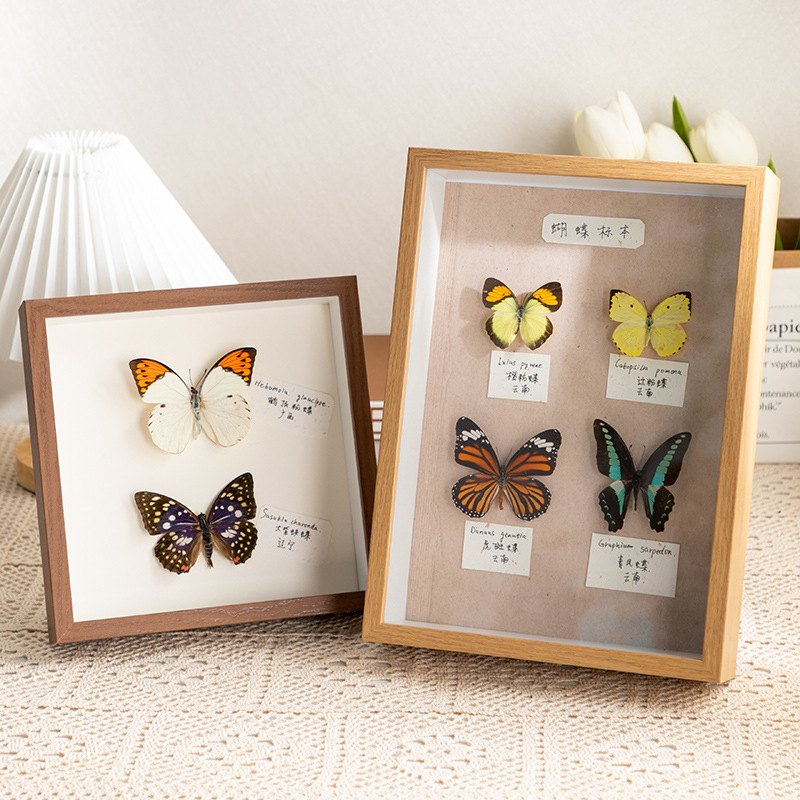 Three-dimensional hollow display frame butterfly specimen frame DIY square 67810 inch a4 plant clay dried flower picture frame wholesale