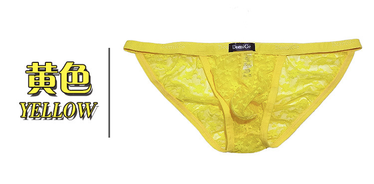 Picture of DomiGe Dumi International transparent mesh men's briefs Boxed Wholesale 5235 new men's briefs
