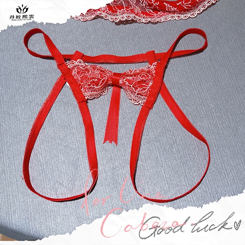 Water Soluble Lace Embroidered Underwear Women's High-end Open-end Tempting Sexy Underwear Low Waist Sexy Women's Briefs