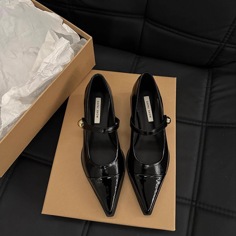 Pointed Toe Small Leather Shoes for Women 2025 New Spring Thick Heel Low Heel High Heels Retro French Style Mary Jane Shoes