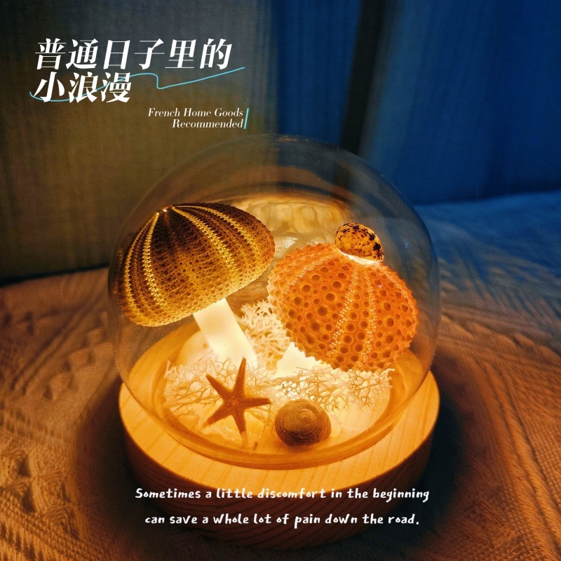 Sea urchin shells, night lights, mushroom lamps, handmade souvenirs, girlfriends, birthdays, weddings
