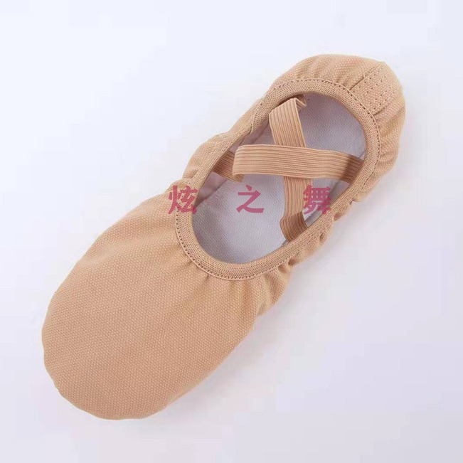 Adult Children Cat Claw Practice Competition Regulations Dance Shoes Practice Shoes Test Competition Latin Ballet Yoga Shoes