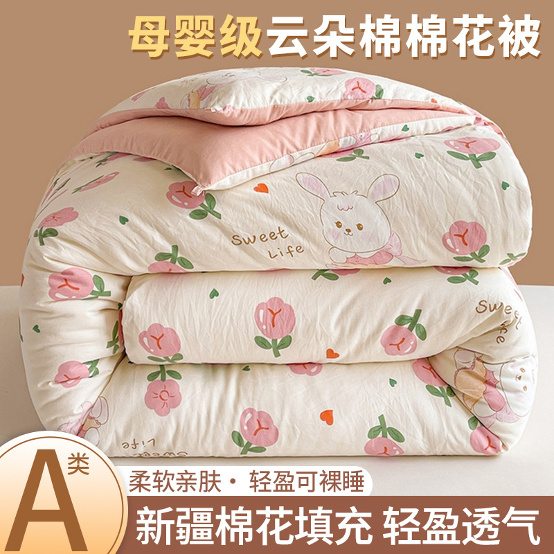 Picture of Xinjiang cotton quilt core thickened warm winter quilt cartoon small fresh student dormitory bedding spring and autumn quilt wholesale