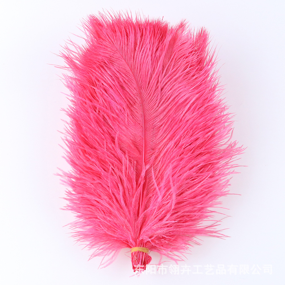 Foreign trade supply new color natural ostrich hair 25-30cm stage decoration DIY ostrich hair