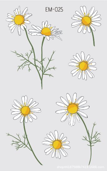 Picture of New Waterproof Sweat-proof Flower Tattoo Sticker Small Fresh Daisy Women's Face Arm Temporary Tattoo Sticker