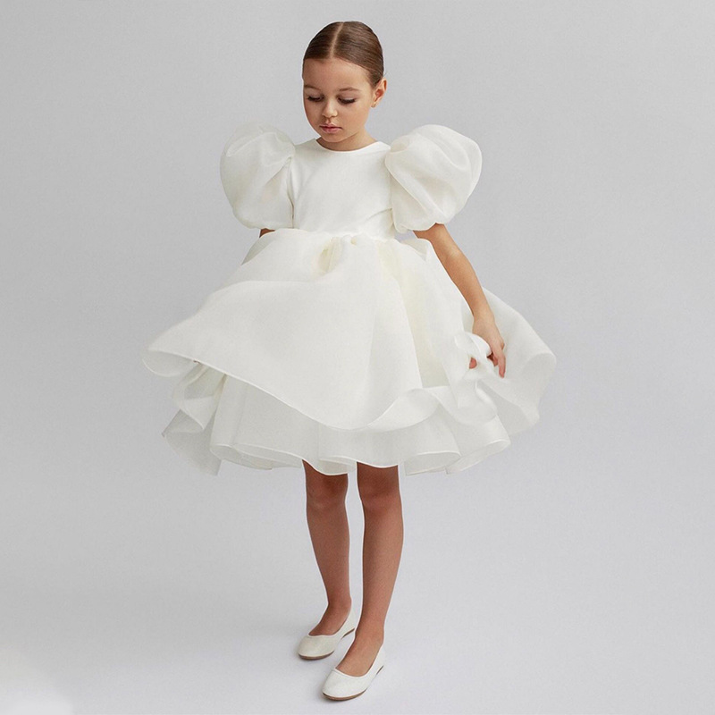 Picture of 2024 Summer New Girls' Dress European and American Puff Sleeve Princess Dress Children Floral Dress Mesh Tutu Dress