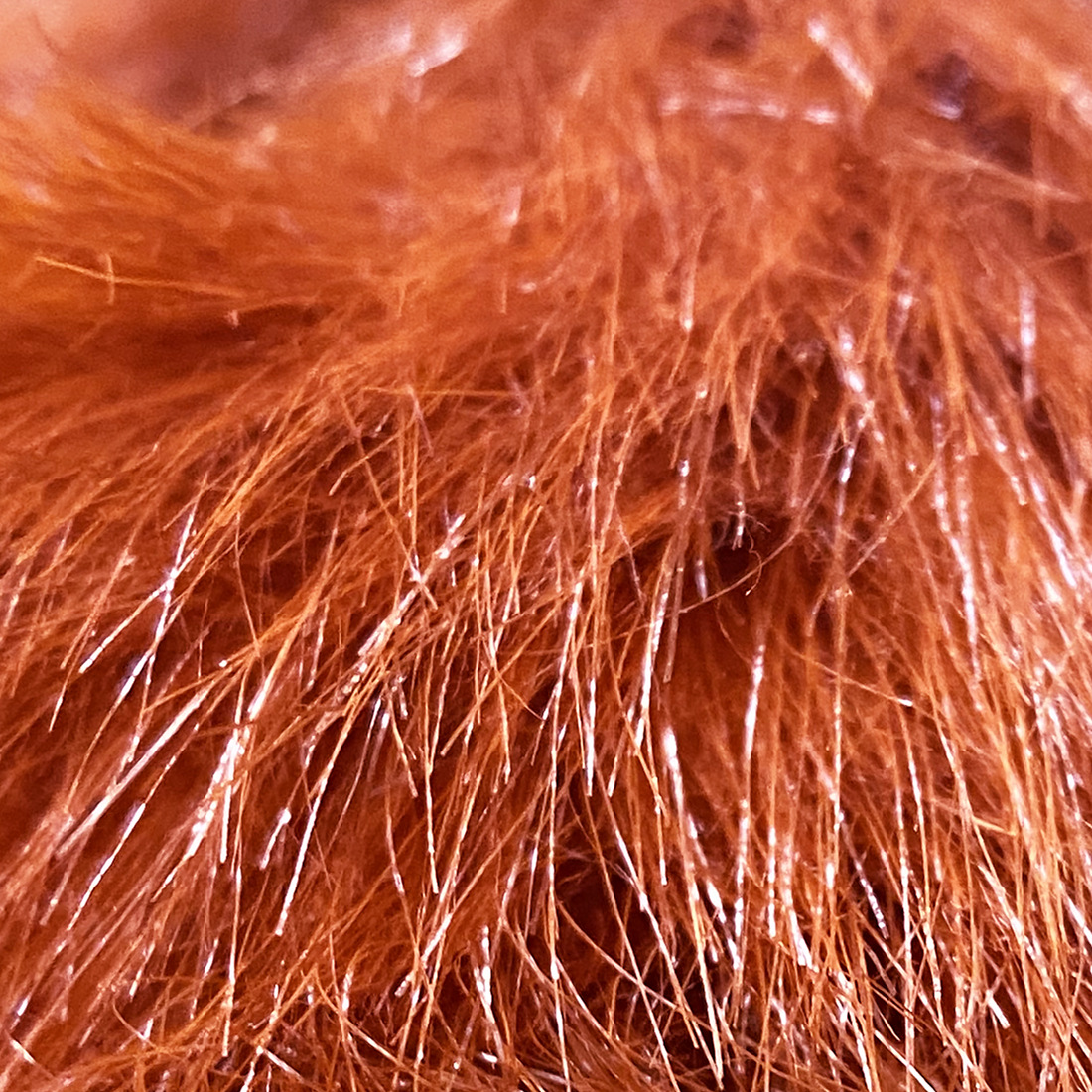 Picture of Artificial plush big fox fur raccoon fur 4cm artificial plush imitation Fox plush fabric