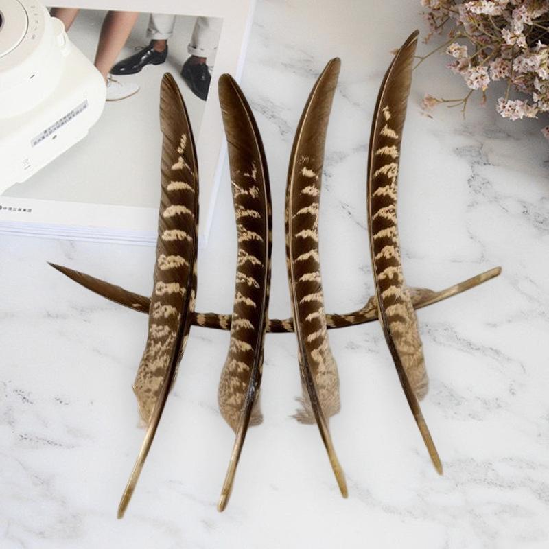 Picture of A large number of manufacturers in stock supply mother mountain chicken nest feather DIY bagging feathers Amazon for real feathers