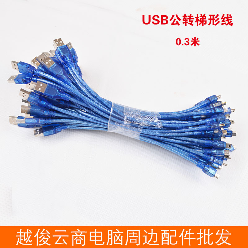 Picture of Factory wholesale USB 2.0 transparent blue data cable 0.3 m AM-mini USB cable mini USB male