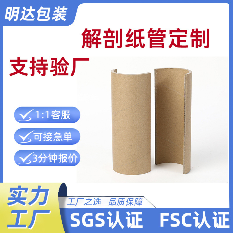 Creative Anatomy Paper Tube Manufacturer Customized Semi-Circular Thickeneded Universal Express Packaging Watch Packaging Printing Paper Tube