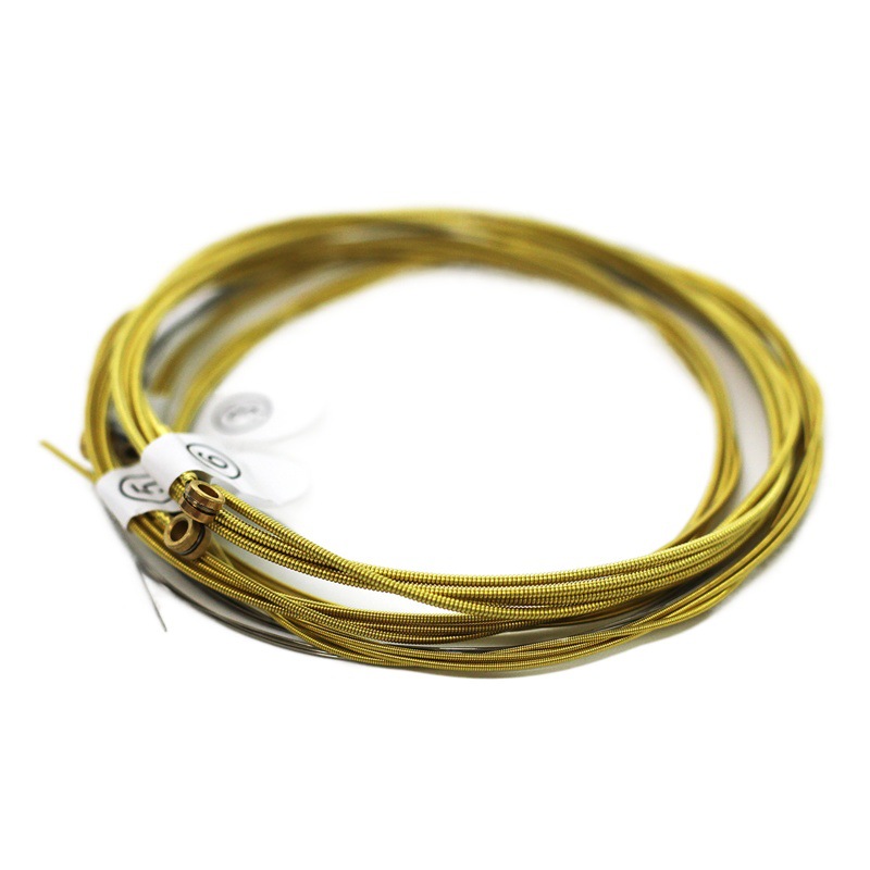 Ziko Leo Guitar Strings Dag Series 010-011 Beginner Popularity Strings Folk Strings Guitar Accessories