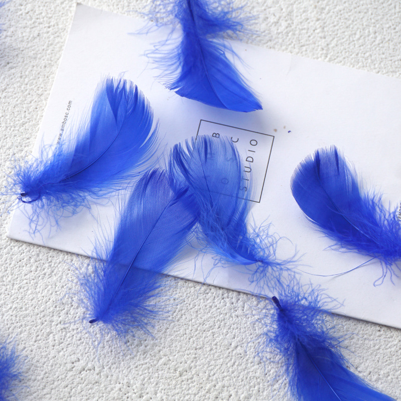 Picture of Manufacturer Wholesale Macaron Colorfulful Small Feather 5-8cm Goose Feather Small Floating Wave Ball Balloon Filling Decorative Material