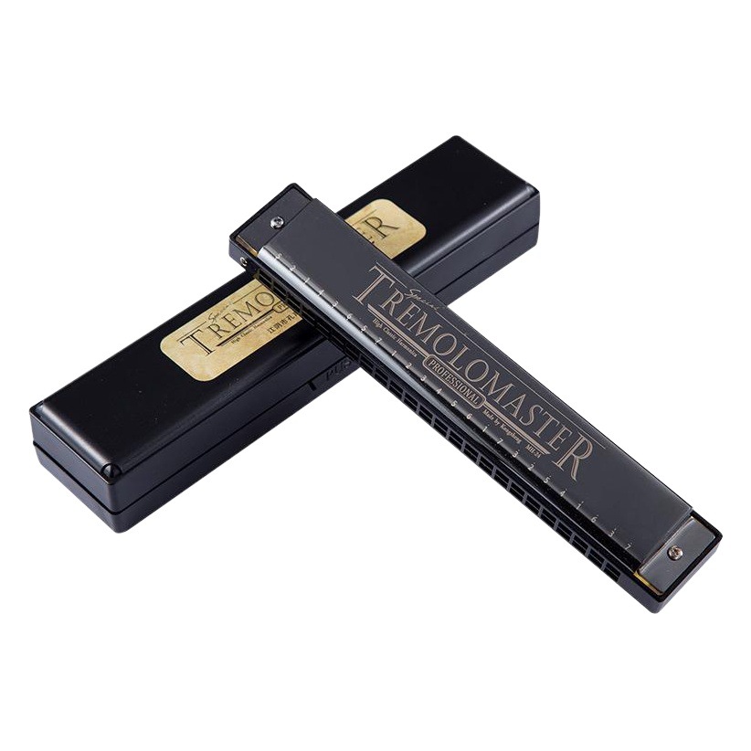 Acoustic Harmonica in C- key 24-hole polyphony harmonica for adults and students playing for children beginner entry instrument harmonica