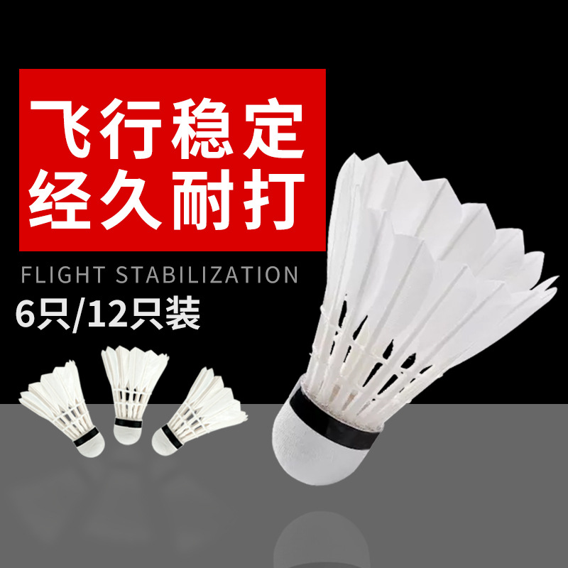 Boca genuine goods Badminton 6 12 Pack Goose Curved Hair Professional Stable Badminton Indoor and Outdoor Training Ball