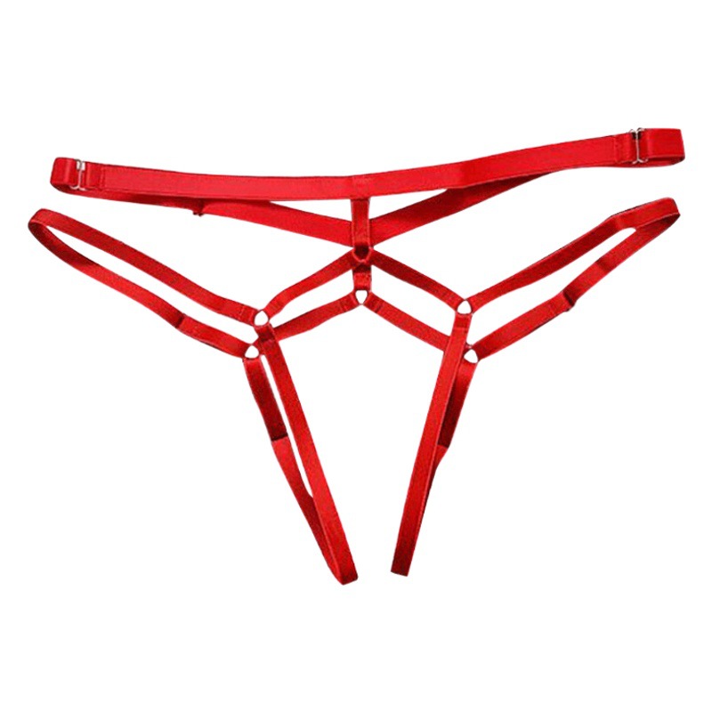 Picture of Cross-border sales of European and American foreign trade open underwear ladies transparent beautiful hip lace-up T-pants multi-size MM sexy