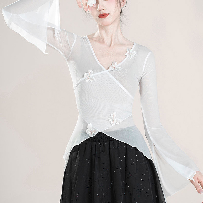 Picture of Classical Dance Costume Butterfly Mesh Body Rhyme Gauze Costume Chinese Dance Folk Dance Practice Costume Art Test Body Jacket Women