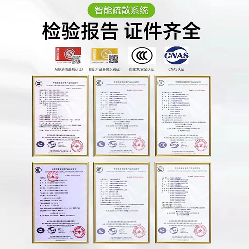 Picture of Rousch A-Type Lighting Centralized Power Distribution Box Epsdc36V Controller Fire Distribution Power Box Emergency Light