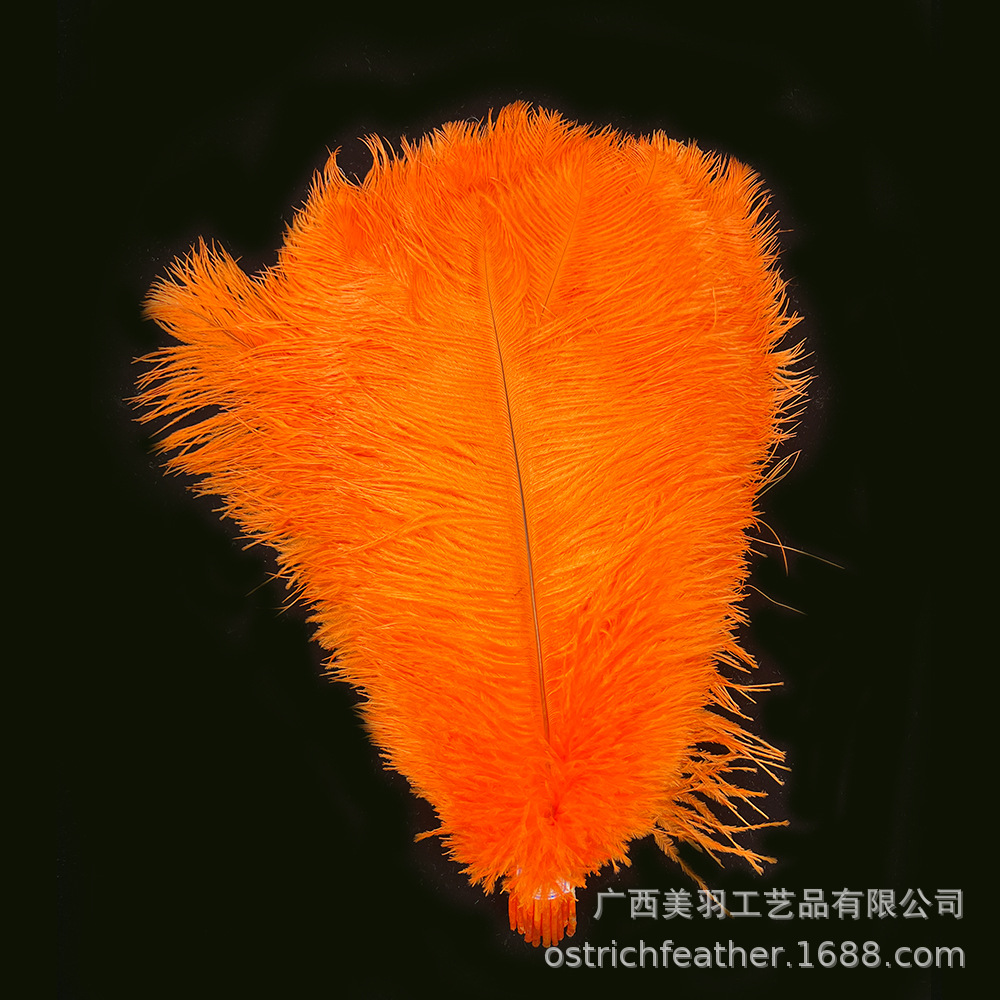 Picture of 35-40cm Ostrich Feather Wholesale Manufacturer Spot Wedding Decoration Feather DIY Crafts Stage Clothing Ostrich Feather